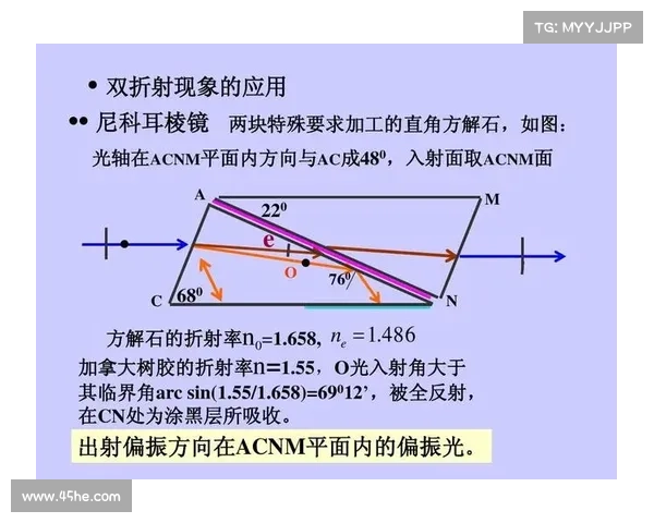 双胆之光:独特视角下的新探索 双胆之光:独特视角下的新探索